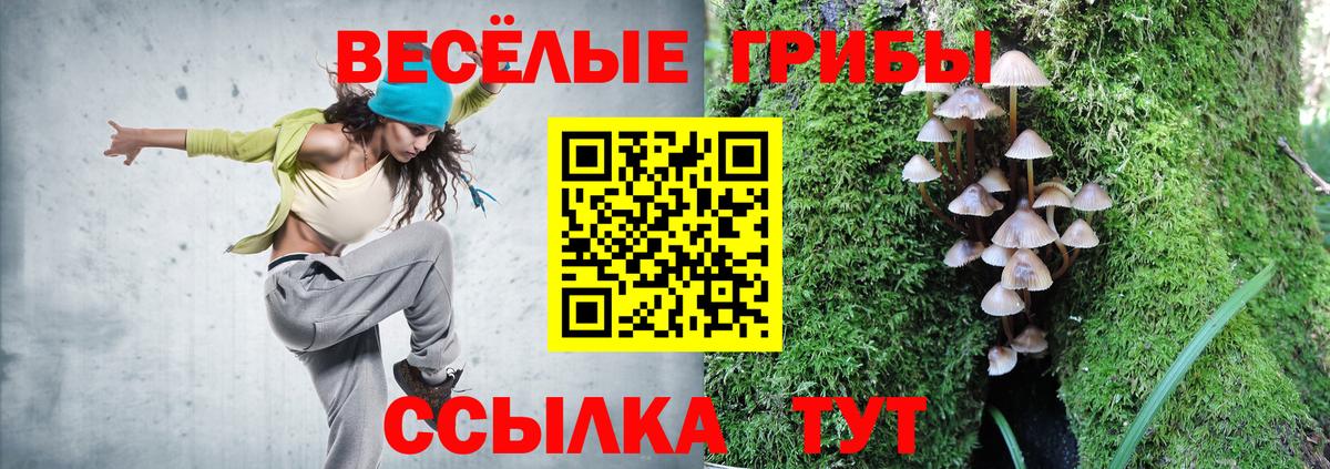 Псилоцибиновые грибы мицелий Борзя